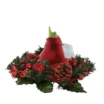 amaryllis cera natale rosso 1 stage