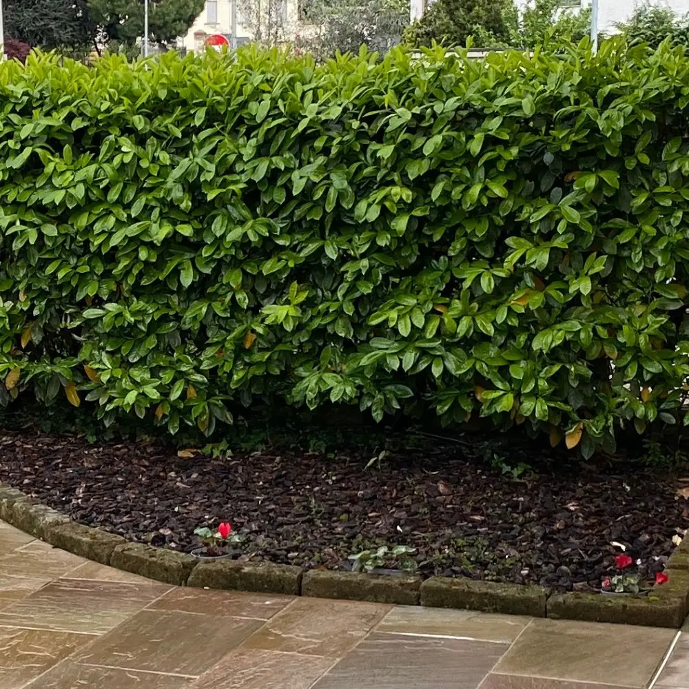 Prima della progettazione