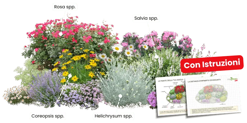 Acquistare aiuole fai da te mygreenhelp