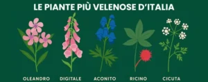 piante velenose comuni