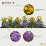 Bordura perenne da pieno sole 4 metri “Radiosa d’Estate”