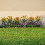 Bordura perenne da pieno sole 4 metri “Radiosa d’Estate”