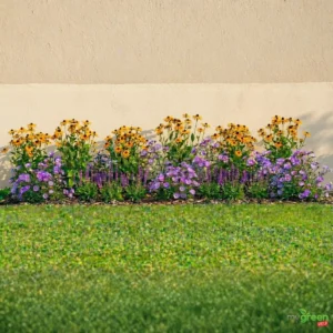 Bordura perenne da pieno sole 4 metri “Radiosa d’Estate”