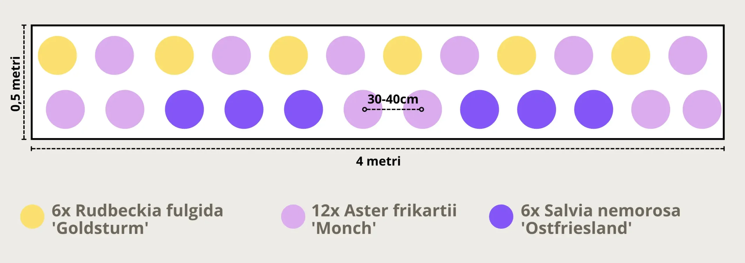 Schema d'impianto Bordura perenne da pieno sole 4 metri “Radiosa d’Estate”