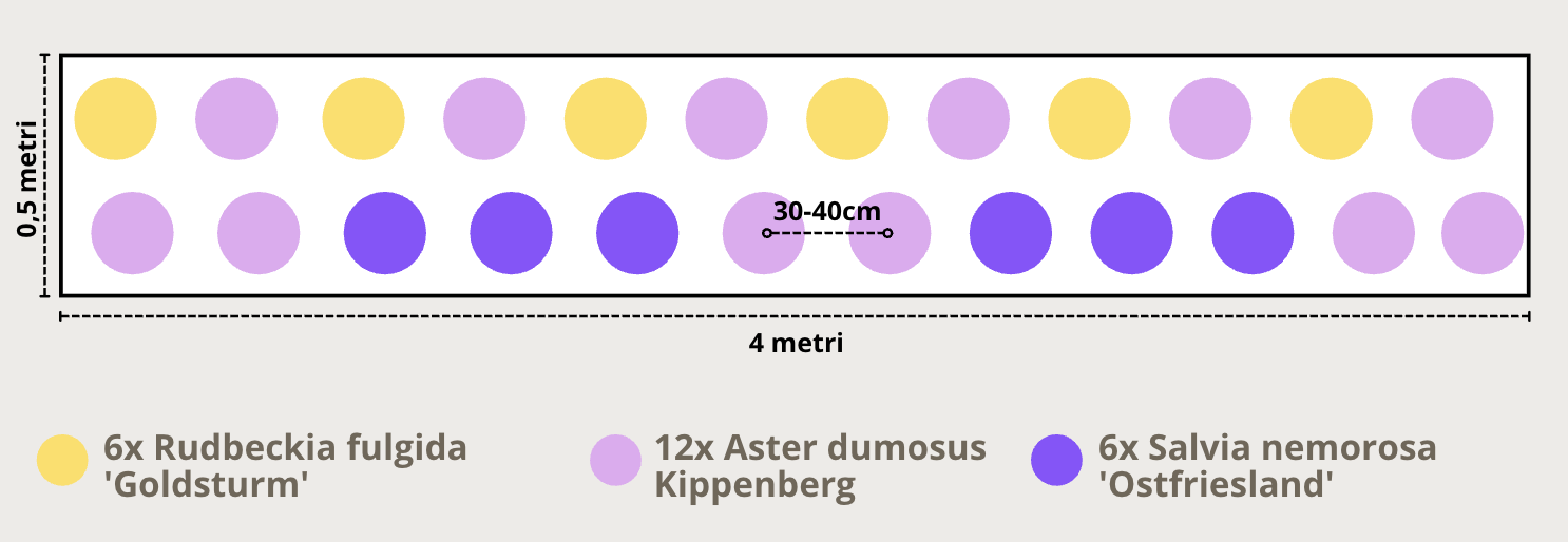 Schema impianto bordura al sole