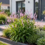 Persicaria amplexicaulis 'Rosea' pianta fiorita