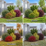 Aiuola colorata sempreverde - immagine 3